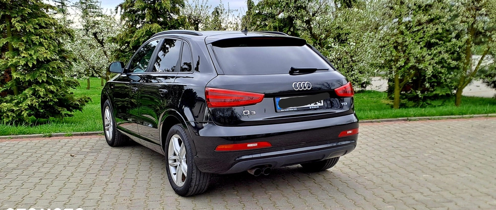 Audi Q3 cena 63900 przebieg: 207000, rok produkcji 2013 z Brodnica małe 254